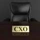 Data shows India Inc. is hiring CXOs for missions, not positions